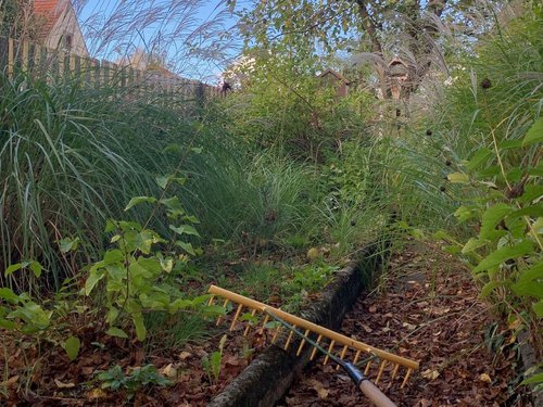 Laub im Garten