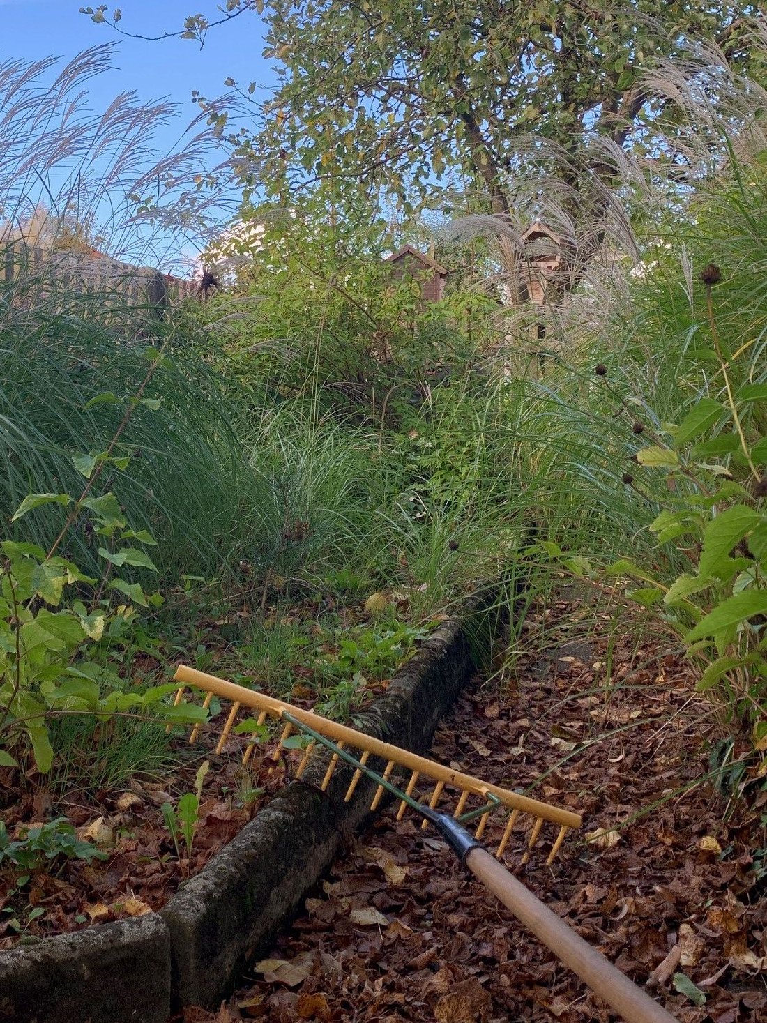 Laub im Garten