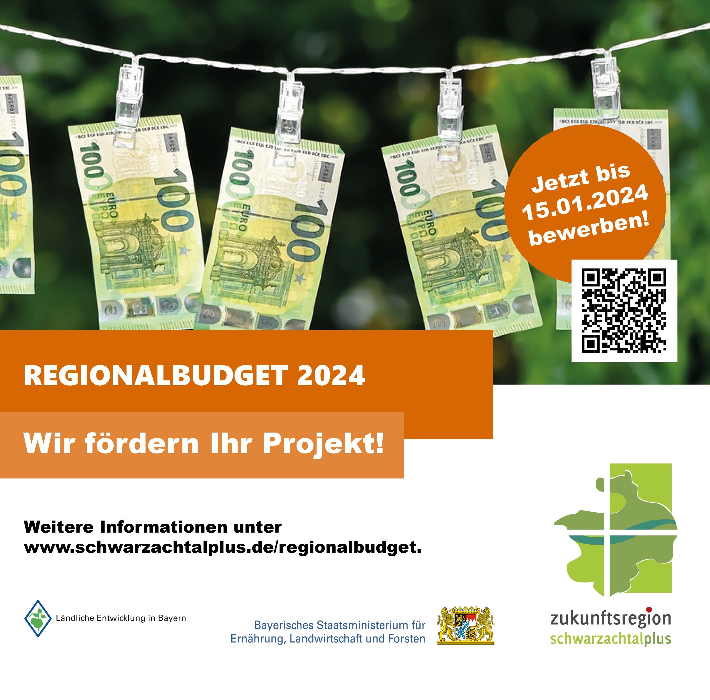 Grafik Regionalbudget 2024_Projektaufruf ILE Schwarzachtalplus